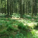 Dom wakacyjny Schmugglernest