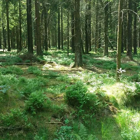 Prázdninový dům Schmugglernest