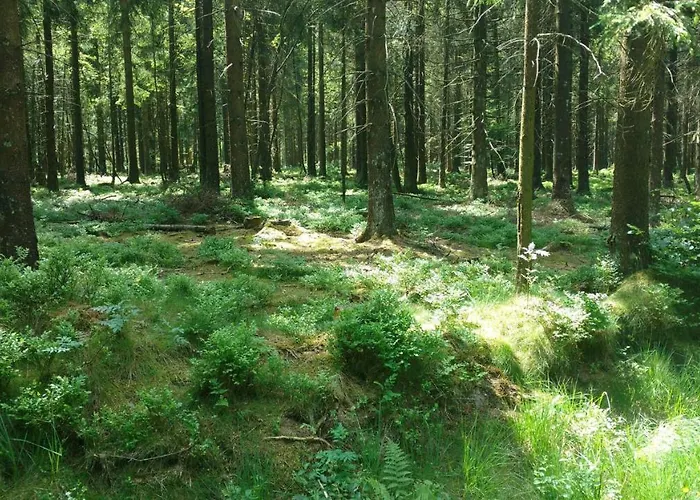Hébergement de vacances Schmugglernest