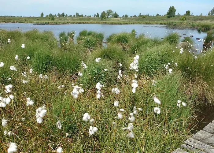 Schmugglernest * Μονσάου