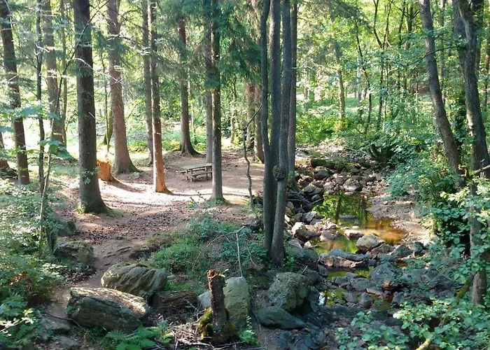 Hébergement de vacances Schmugglernest Montjoie