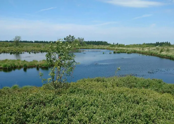 بيت للعطل Schmugglernest *